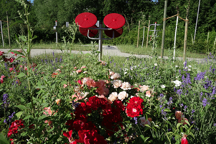 AWO Kulmbach Tagespflege Trebgast Garten